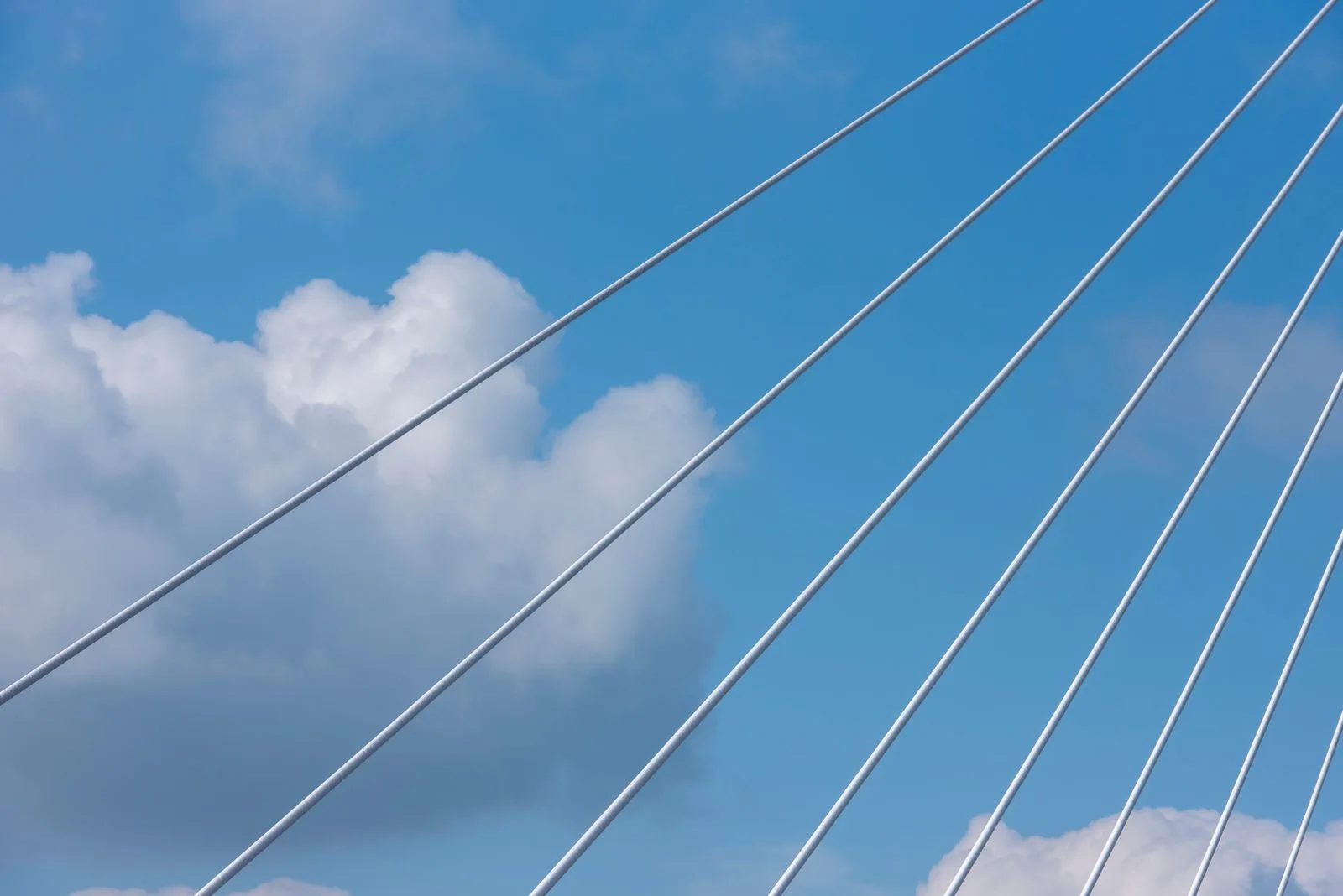 Estais de aço de uma ponte contra o céu azul